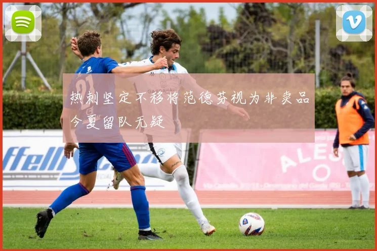 热刺坚定不移将范德芬视为非卖品今夏留队无疑