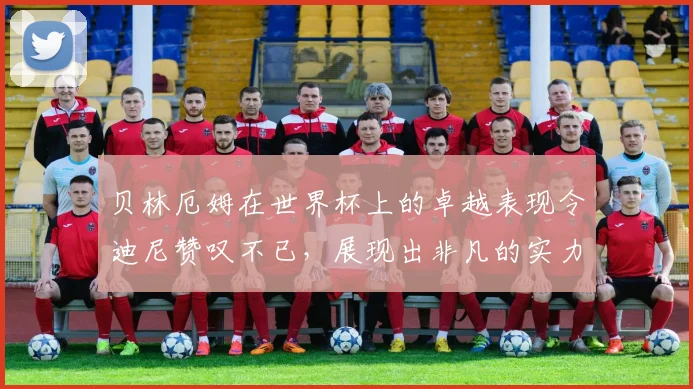 贝林厄姆在世界杯上的卓越表现令迪尼赞叹不已，展现出非凡的实力与魅力