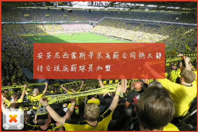 安芬尼西蒙斯寻求高薪合同热火静待合适底薪球员加盟