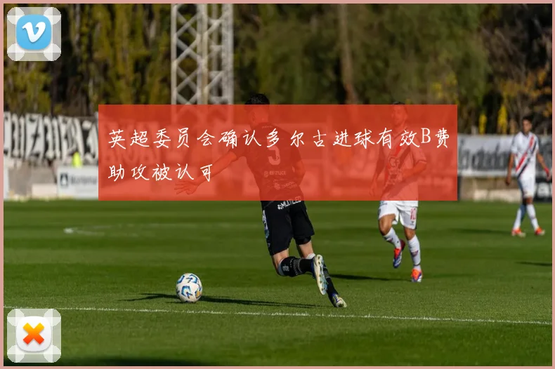 英超委员会确认多尔古进球有效B费助攻被认可