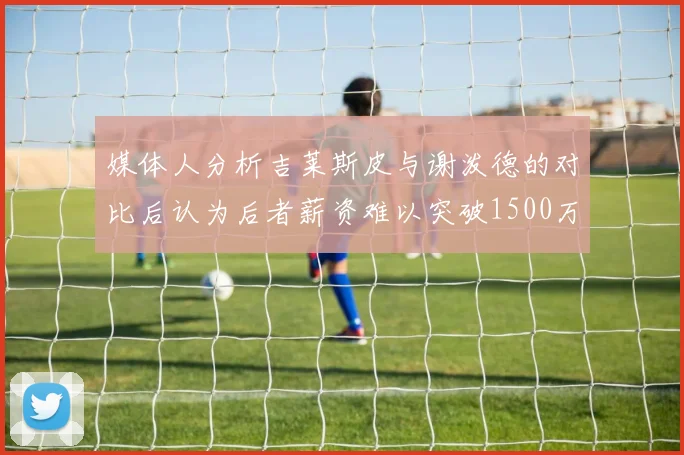 媒体人分析吉莱斯皮与谢泼德的对比后认为后者薪资难以突破1500万